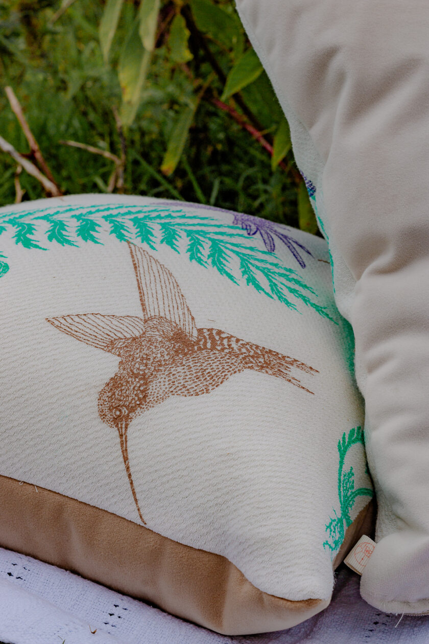 Cojines Colibríes Encantados