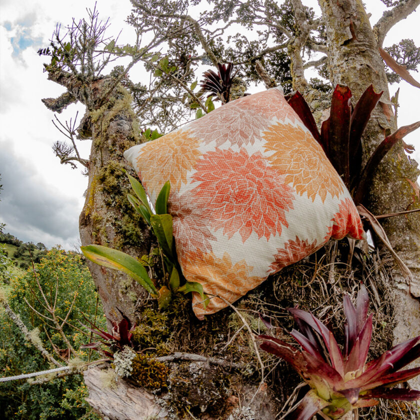 Cojines Quiches de los Andes